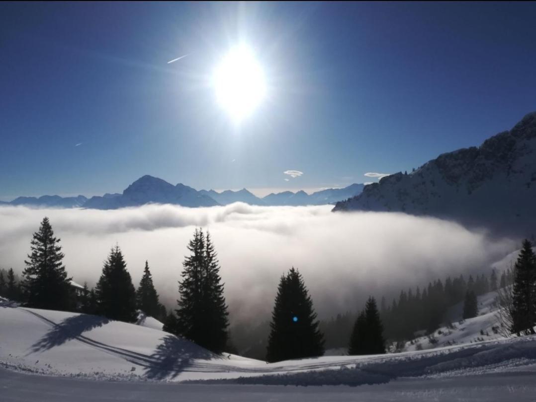 Panoramablick Lägenhet Breitenwang Exteriör bild