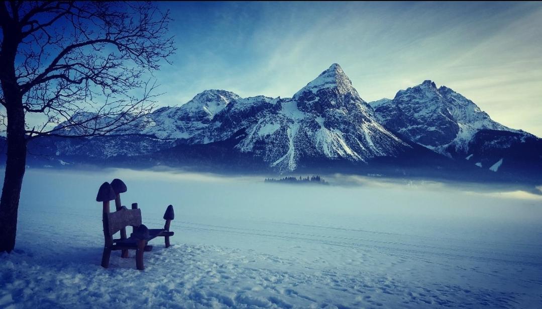 Panoramablick Lägenhet Breitenwang Exteriör bild