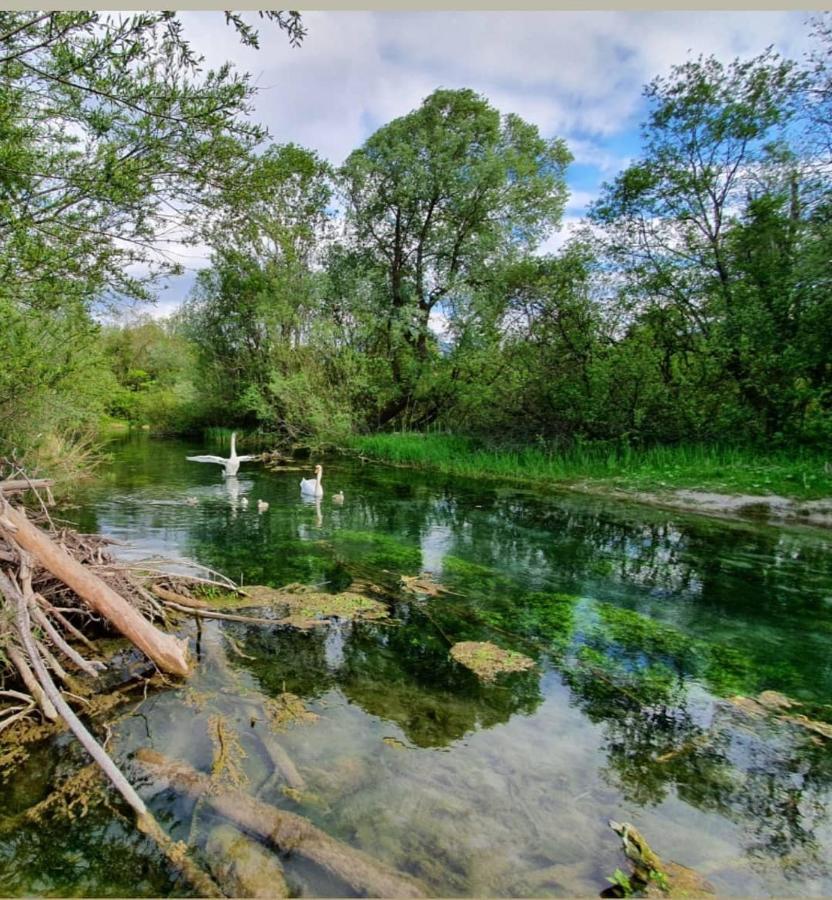 Panoramablick Lägenhet Breitenwang Exteriör bild