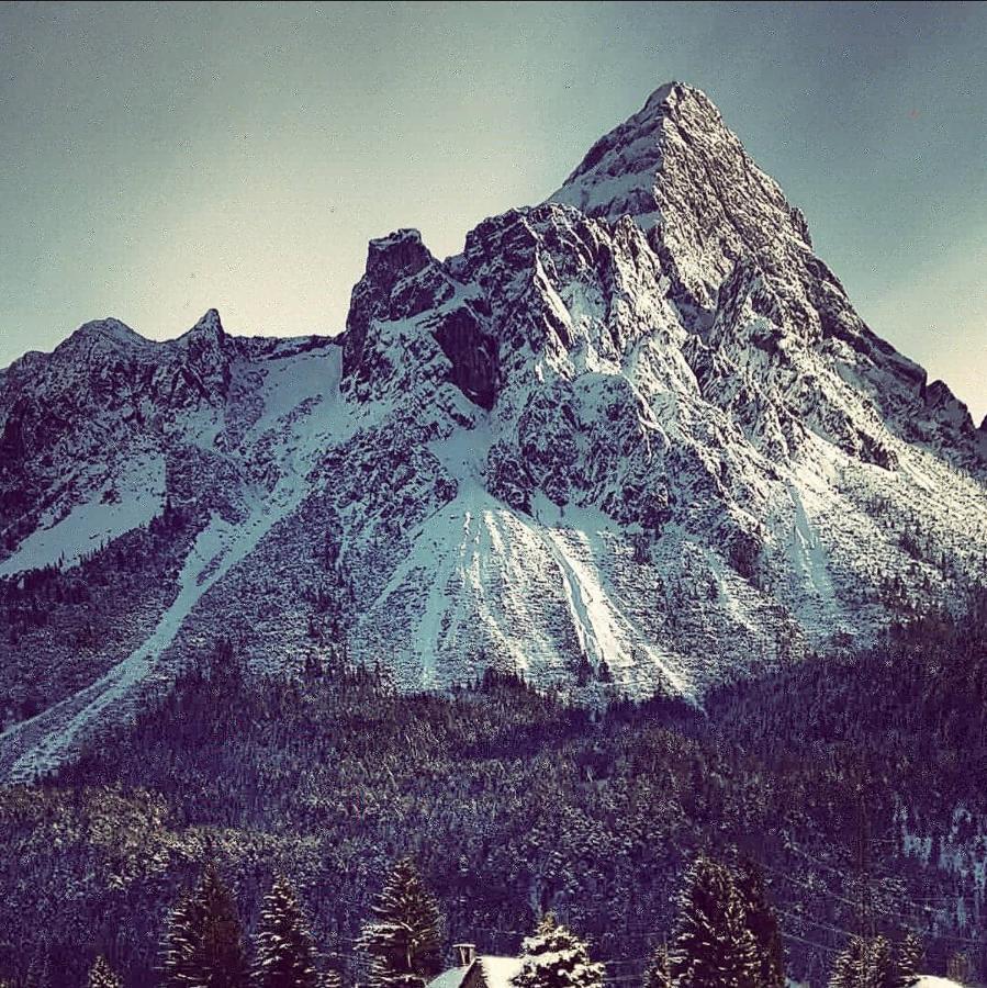 Panoramablick Lägenhet Breitenwang Exteriör bild