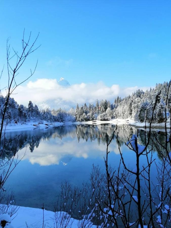 Panoramablick Lägenhet Breitenwang Exteriör bild